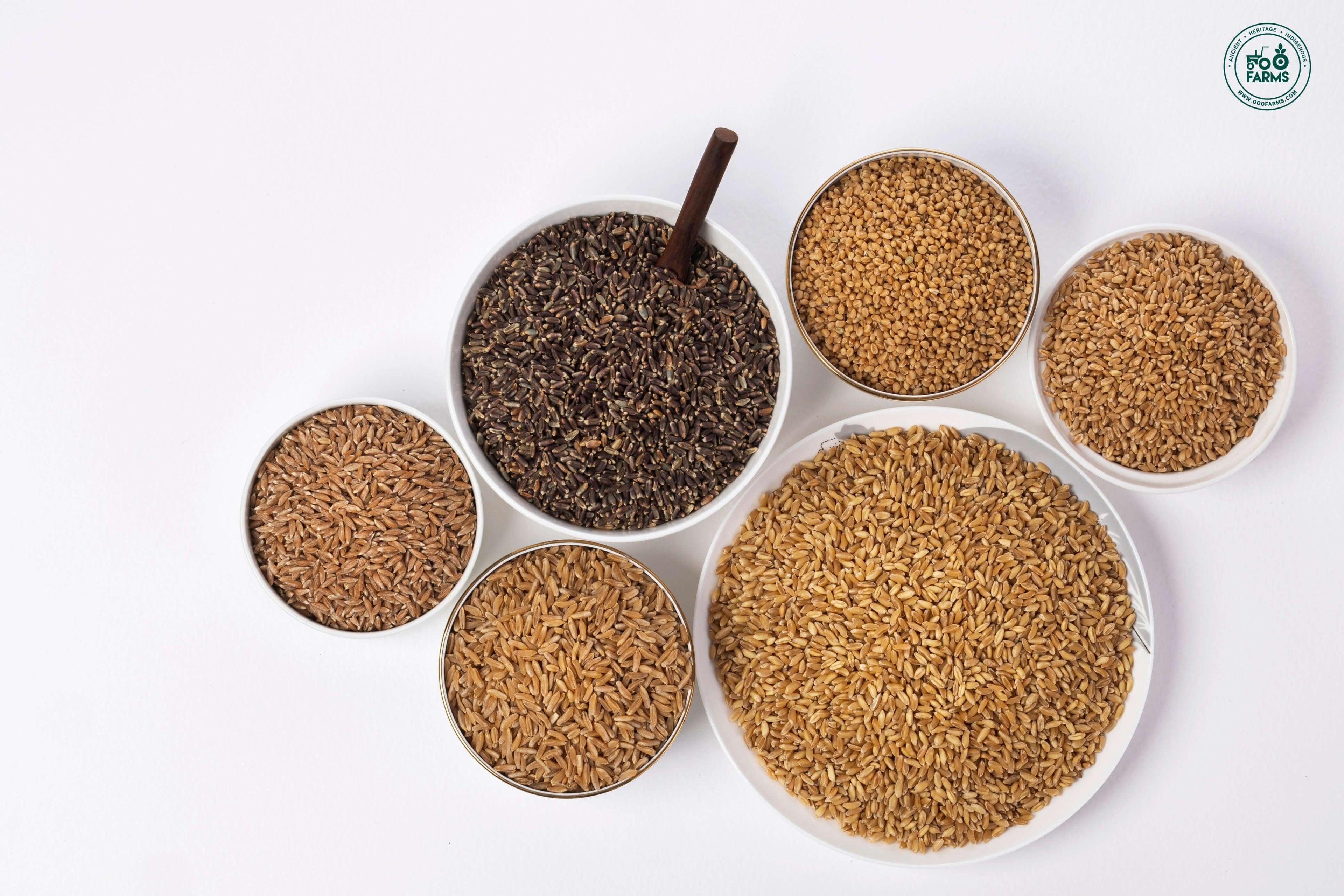 Wheat Wheat