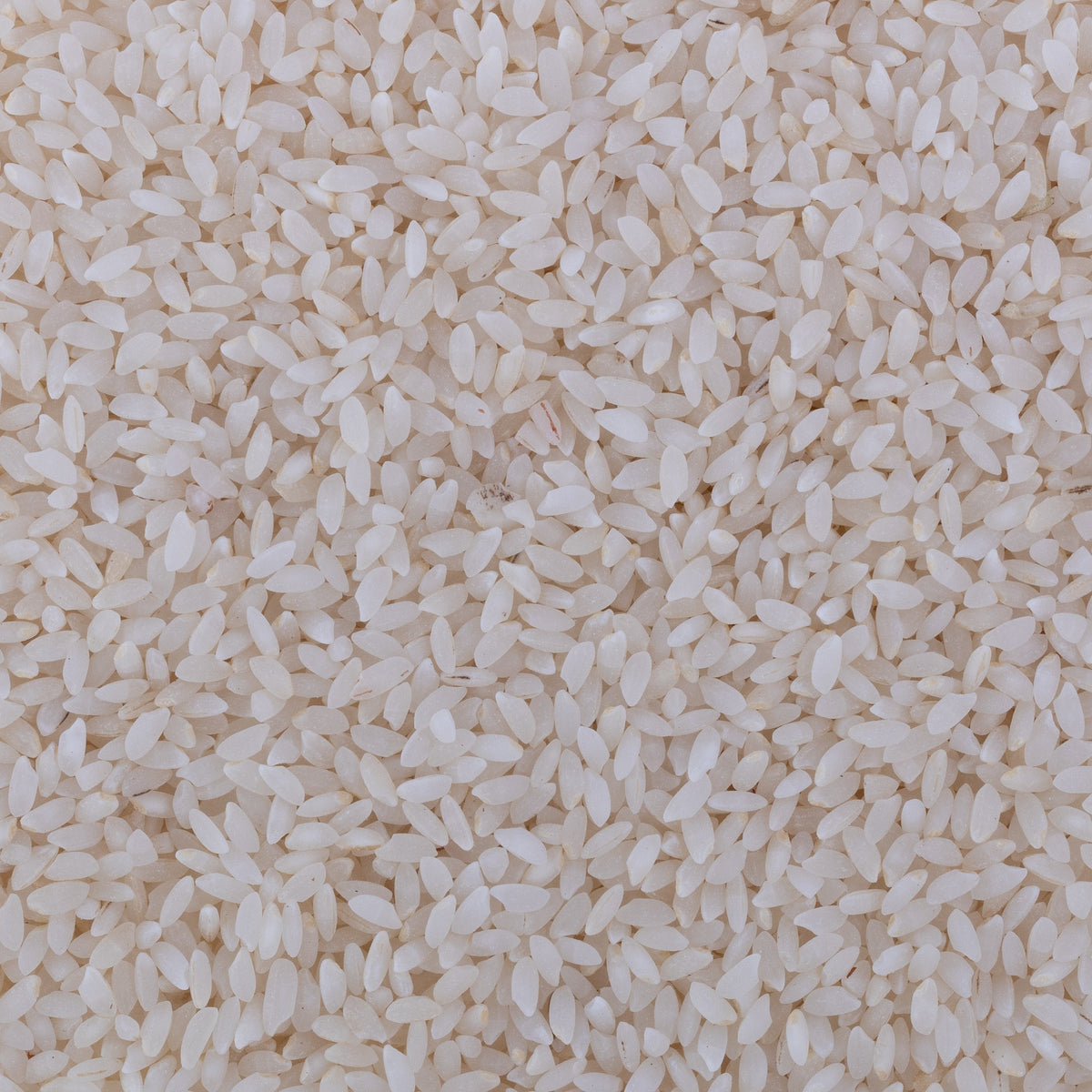 Ambemohar Kajal Rice (Semipolished)