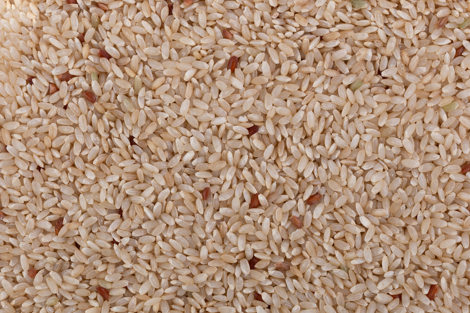 Ambemohar Kajal Rice (Unpolished) Ambemohar Kajal Rice (Unpolished)