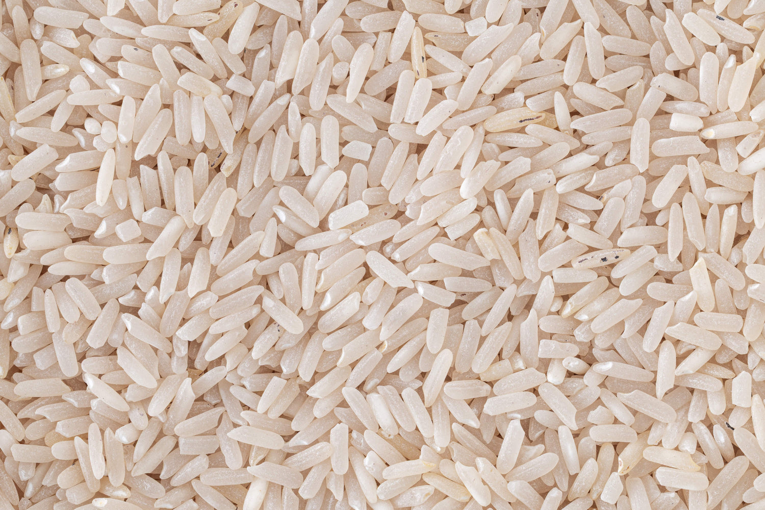 Jasmine Black Rice (Semi Polished) Jasmine Black Rice (Semi Polished)