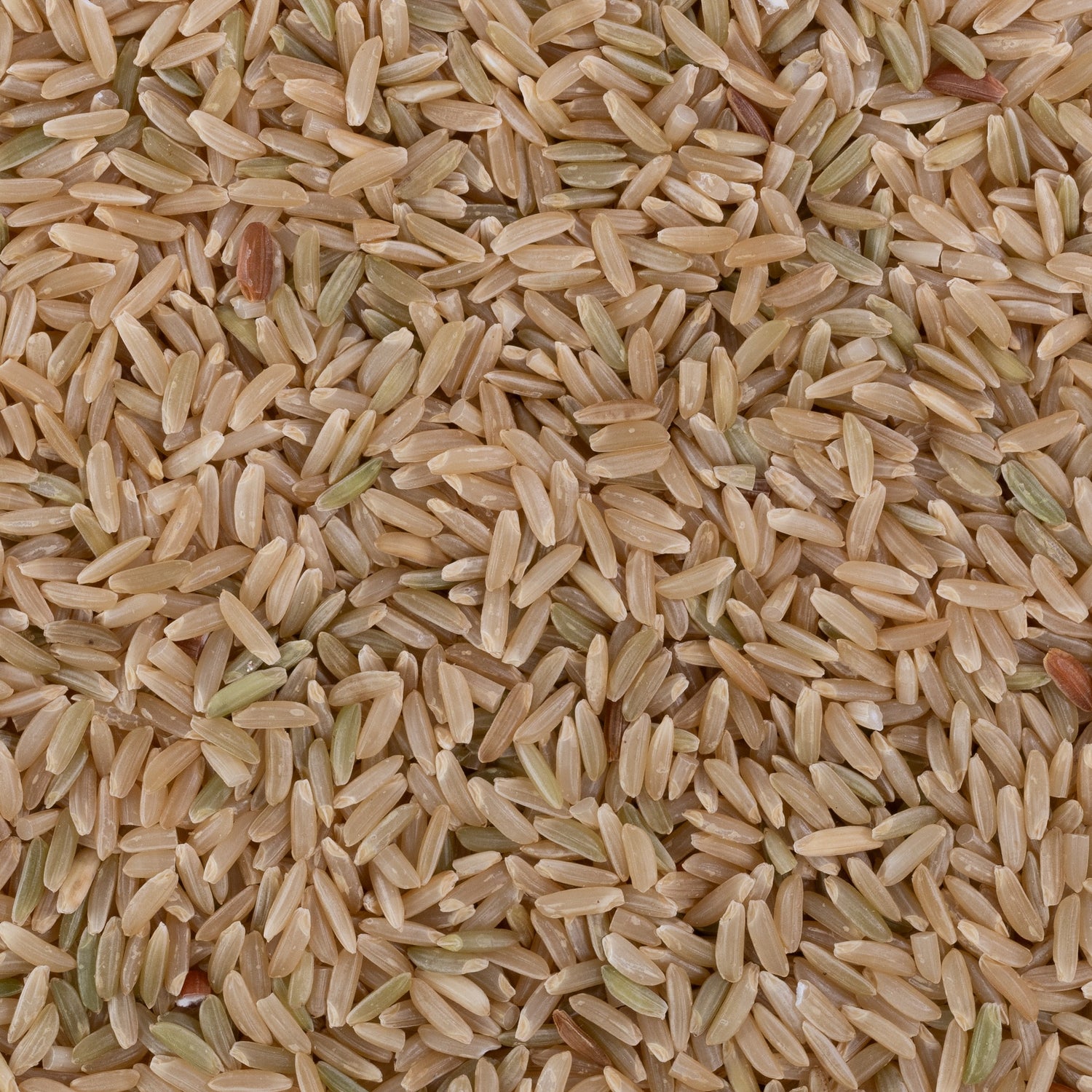 Kali Gajara Rice (Unpolished) Kali Gajara Rice (Unpolished)