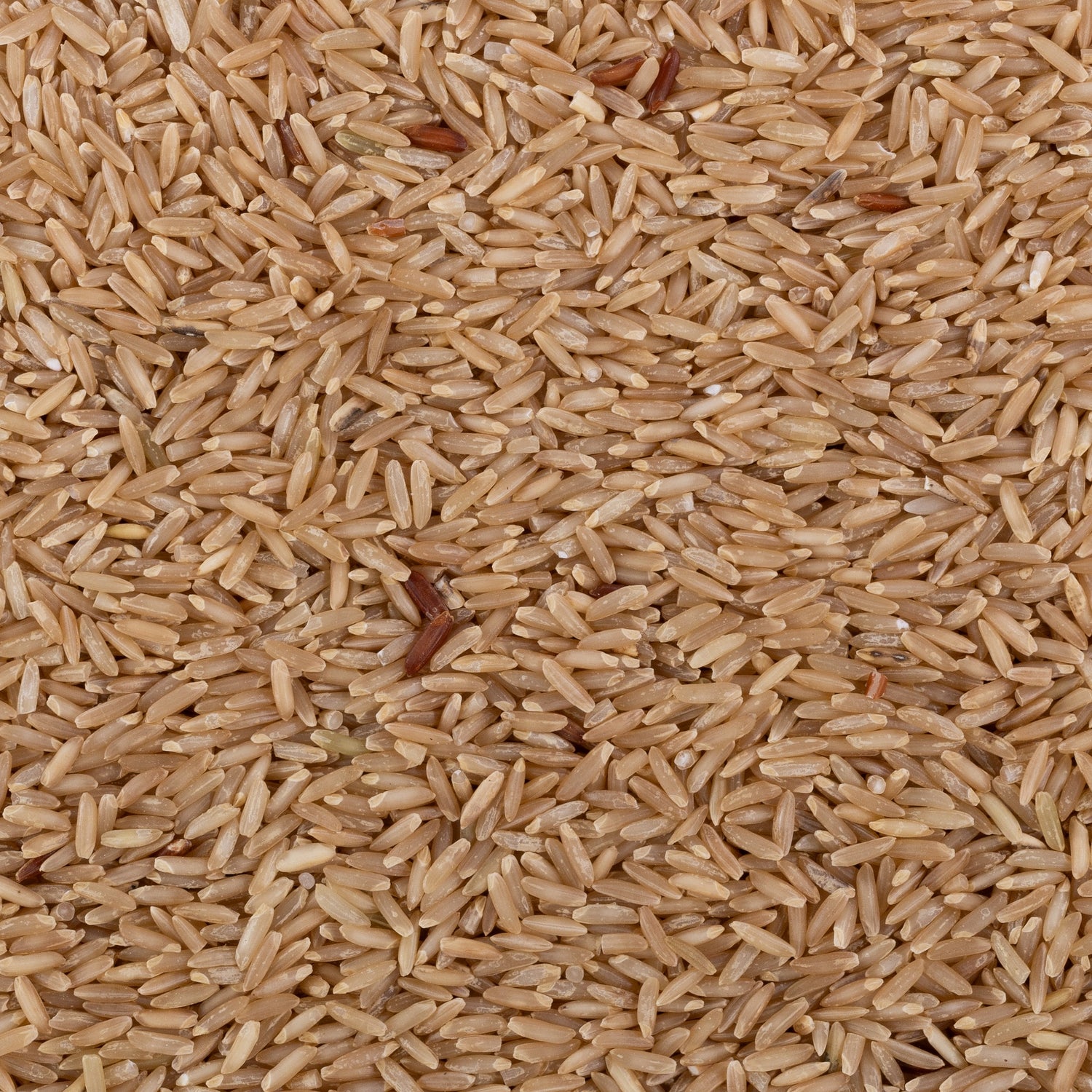Kali Mooch Rice (Unpolished) Kali Mooch Rice (Unpolished)
