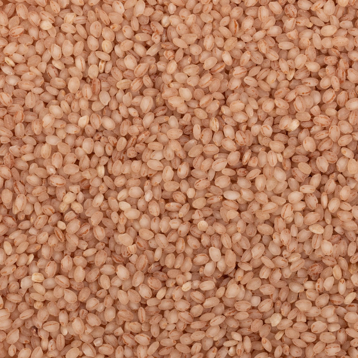 Kurwa Rice (Semipolished)