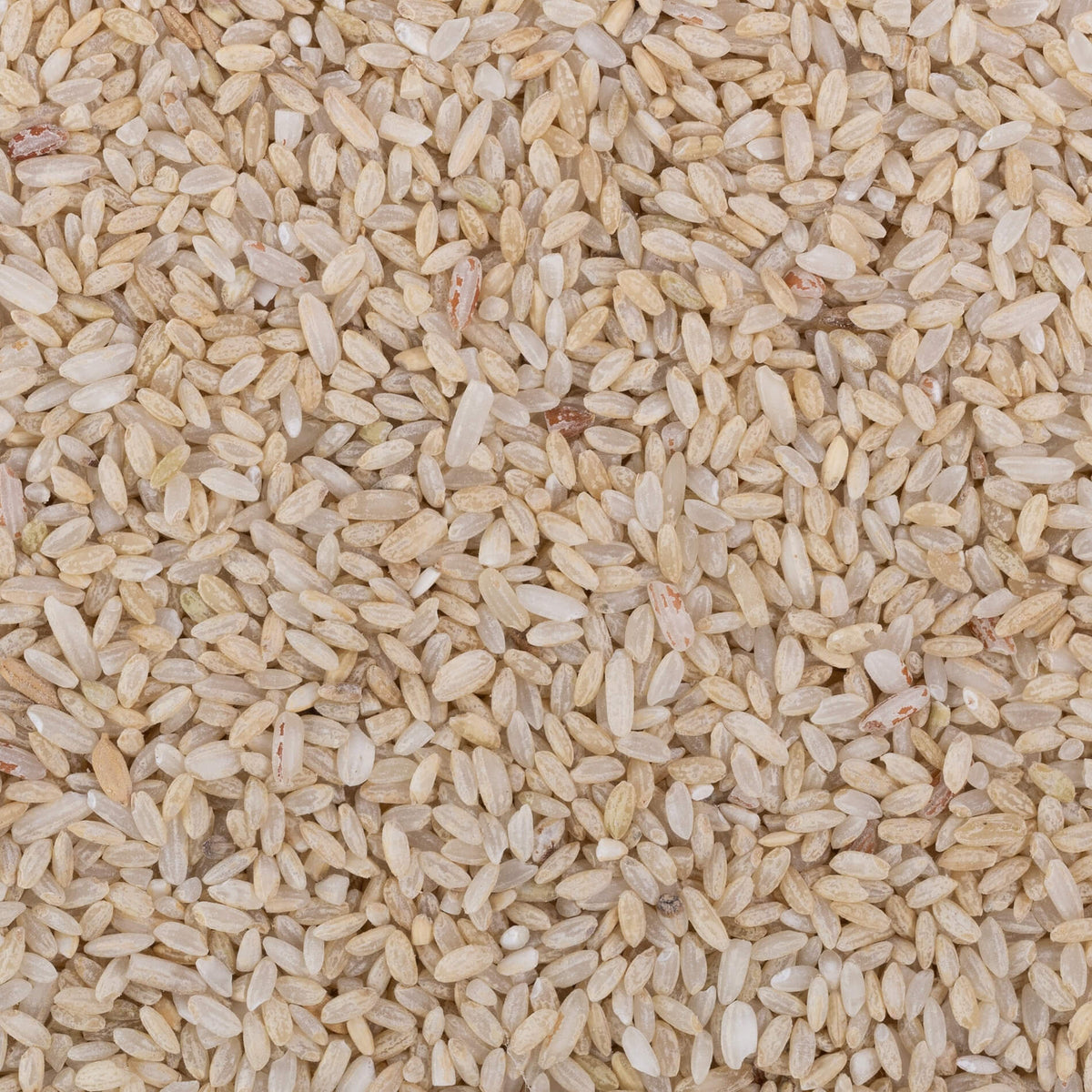 Mohanbhog Rice (Semipolished)