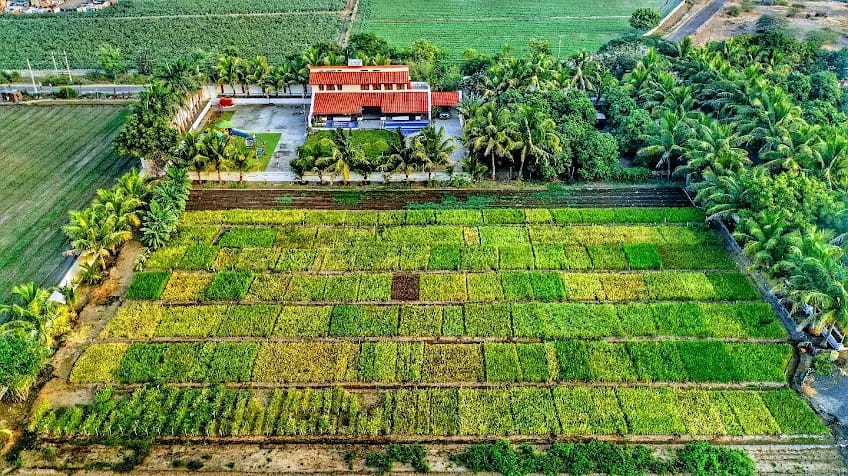 OOO Farms Aerial View