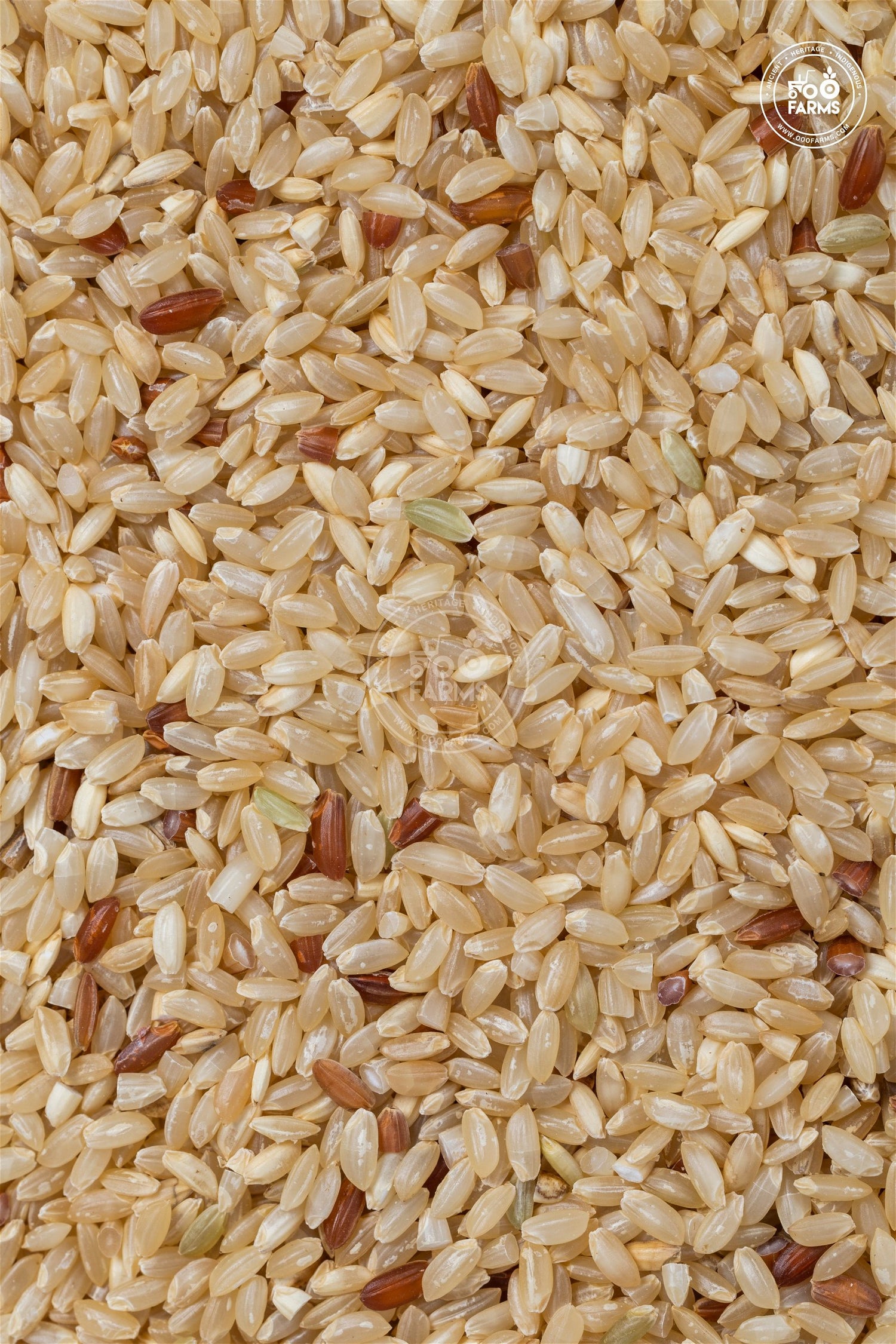 OOO Farms Ajara Ghansal Rice (Unpolished)