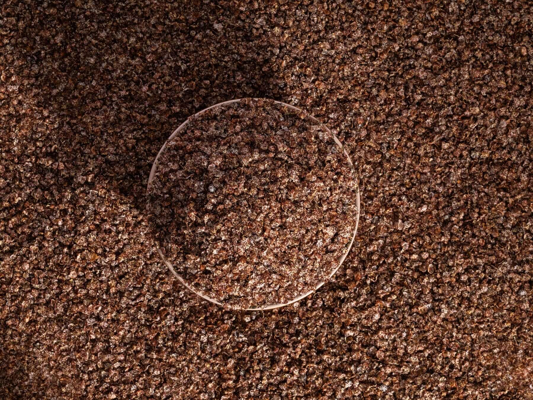 OOO Farms Ragi Millet Flakes in a Bowl 04