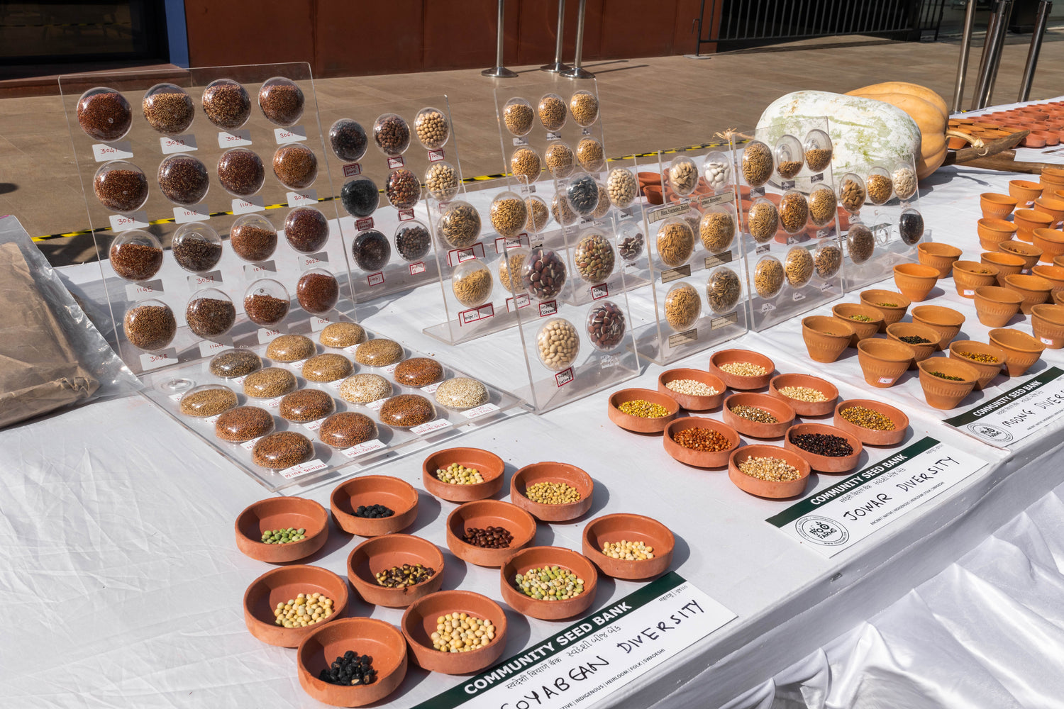 OOO Farms Rice Festival Event 1 OOO Farms Rice Festival Event 1