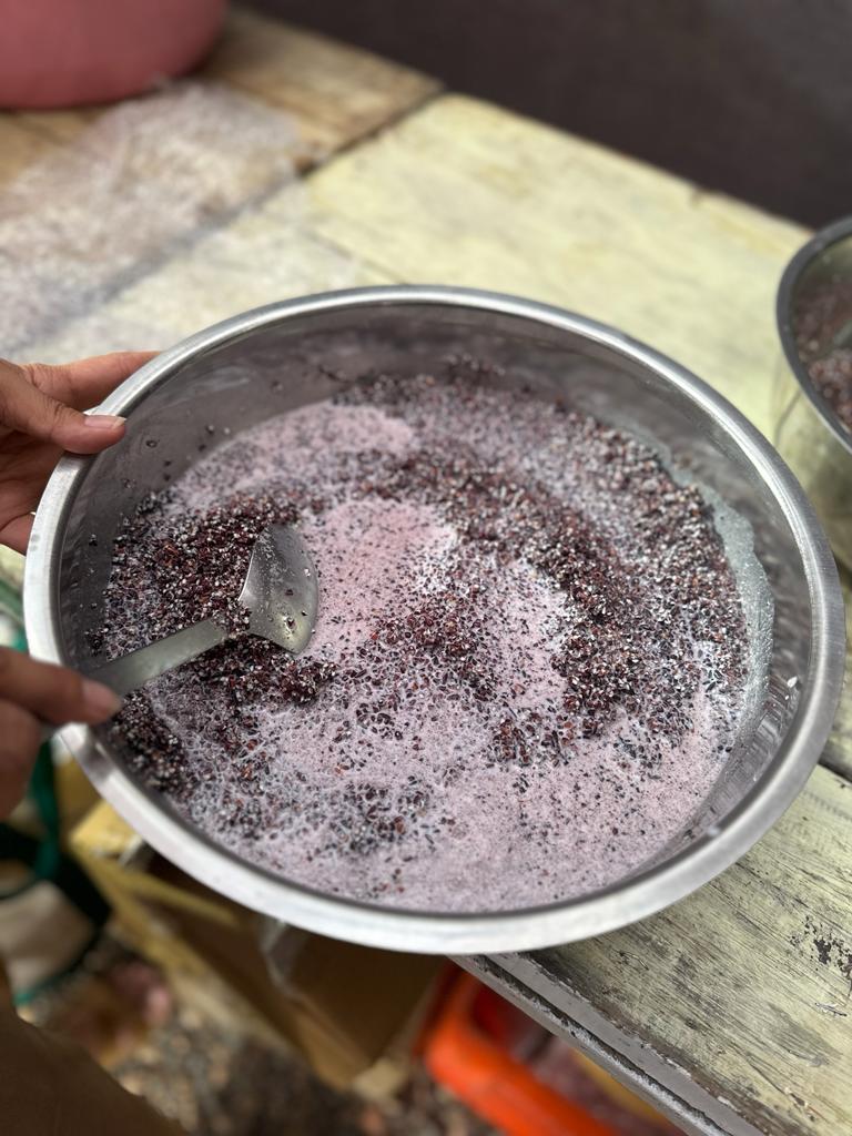 OOO Farms Wild Food Festival BTS