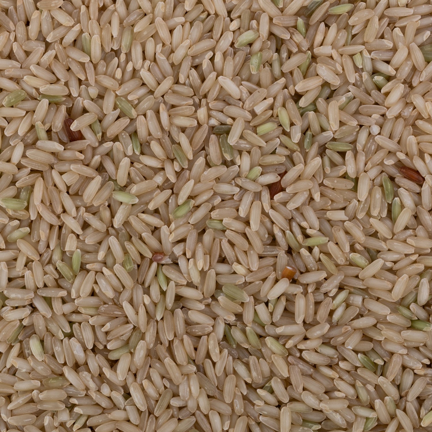 Salem Sanna Rice (Unpolished) Salem Sanna Rice (Unpolished)