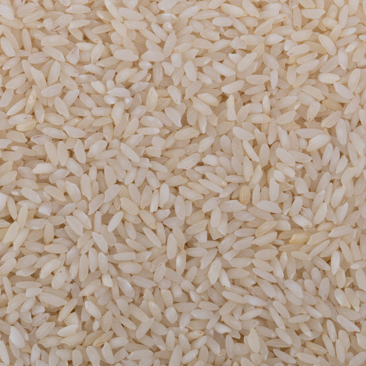Stony Ambemohar Rice (Semipolished)