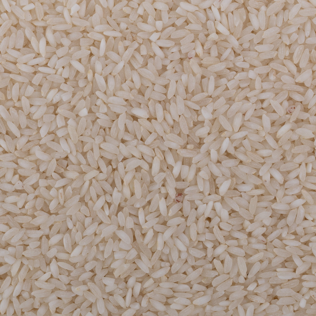 Surti Kolam Rice (Semipolished)