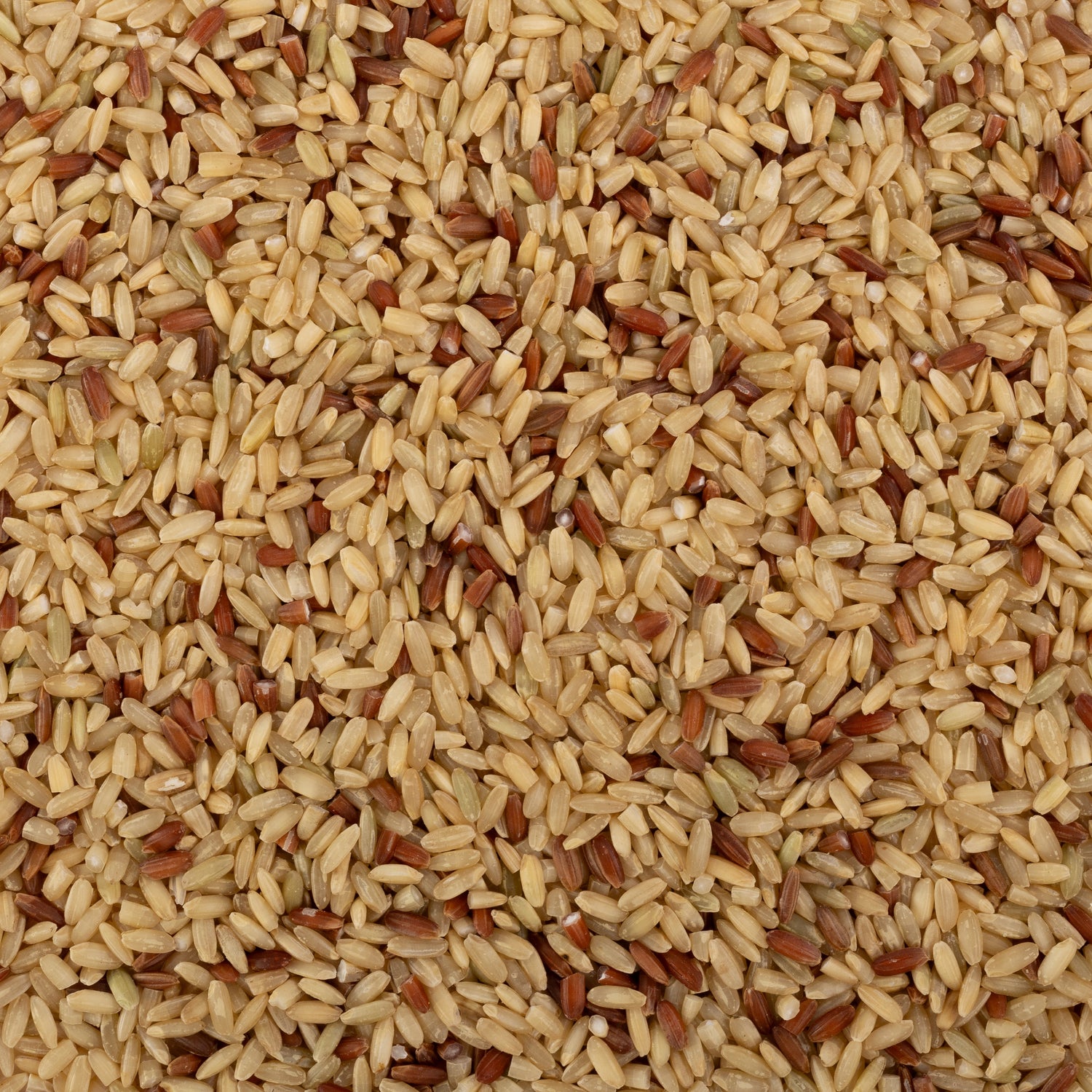 Tamkudiya Rice (Unpolished) Tamkudiya Rice (Unpolished)