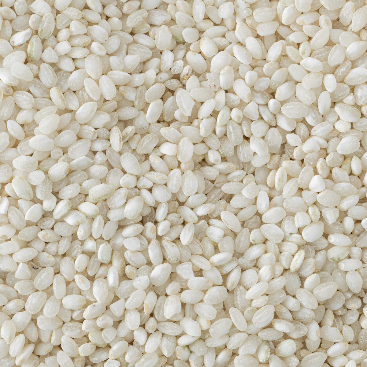 Tulshya Rice (Semipolished)/ तुळश्या