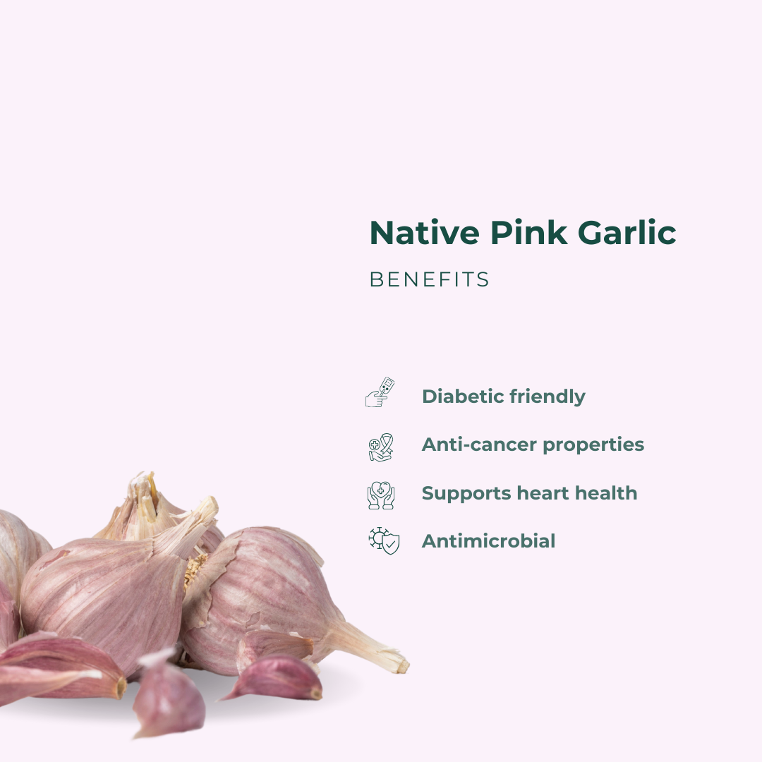 Native Pink Garlic Native Pink Garlic