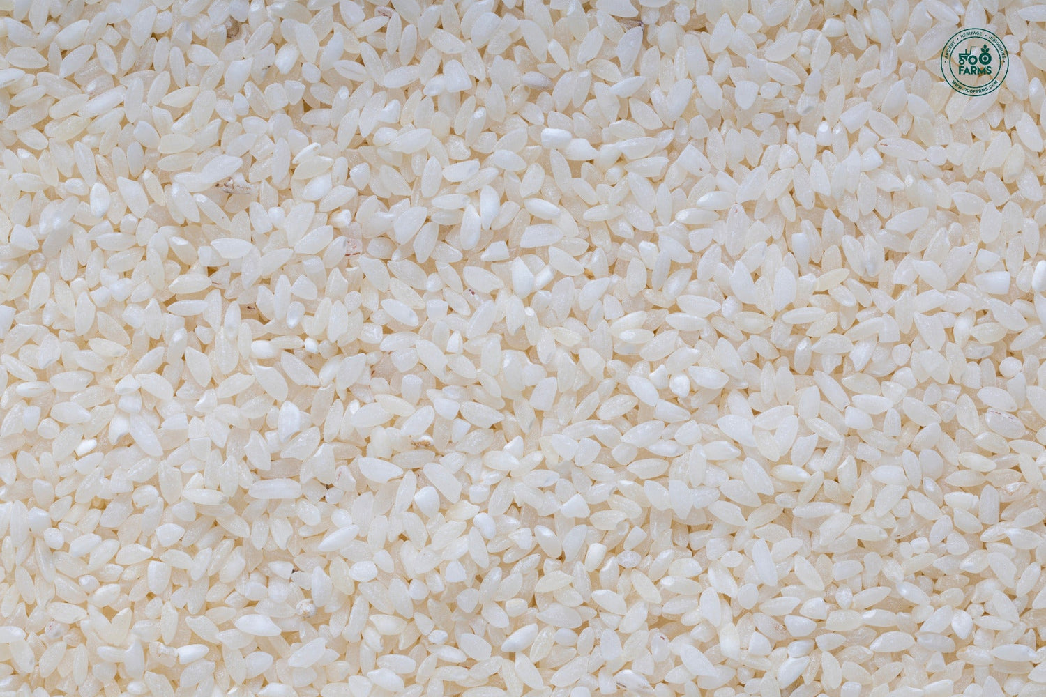 OOO Farms Ajara Ghansal Rice (Semipolished) OOO Farms Ajara Ghansal Rice (Semipolished)