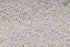 OOO Farms Ambi Moti Rice (Semipolished) OOO Farms Ambi Moti Rice (Semipolished)
