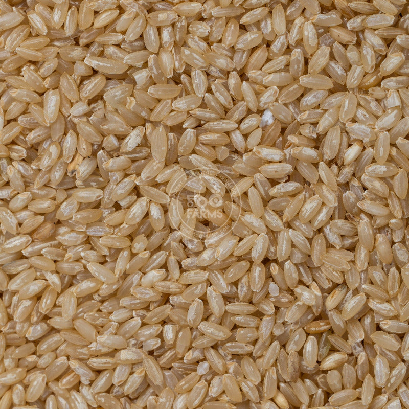 OOO Farms Ambi Moti Rice (Unpolished)