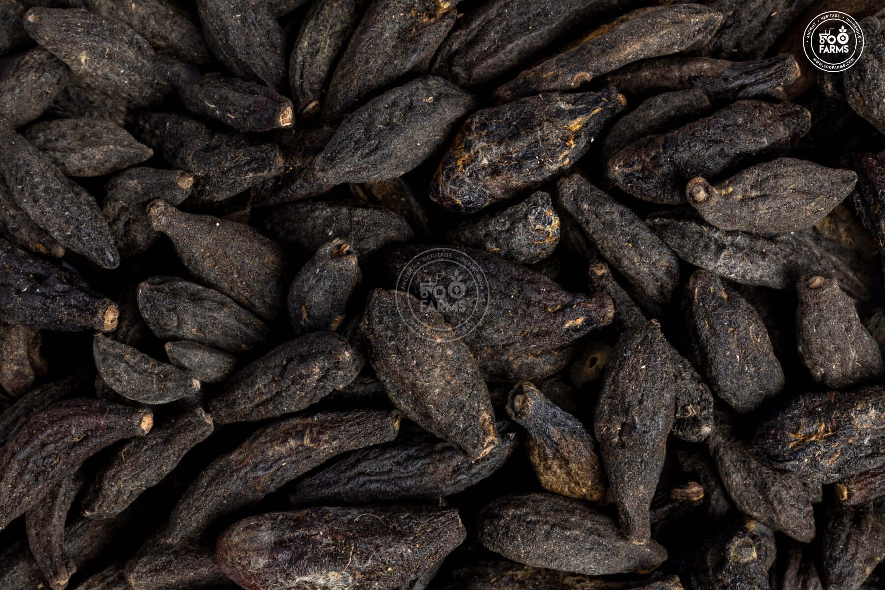 OOO Farms Bal Hirda Dried Fruit