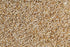 OOO Farms Whole Barnyard Millet OOO Farms Whole Barnyard Millet