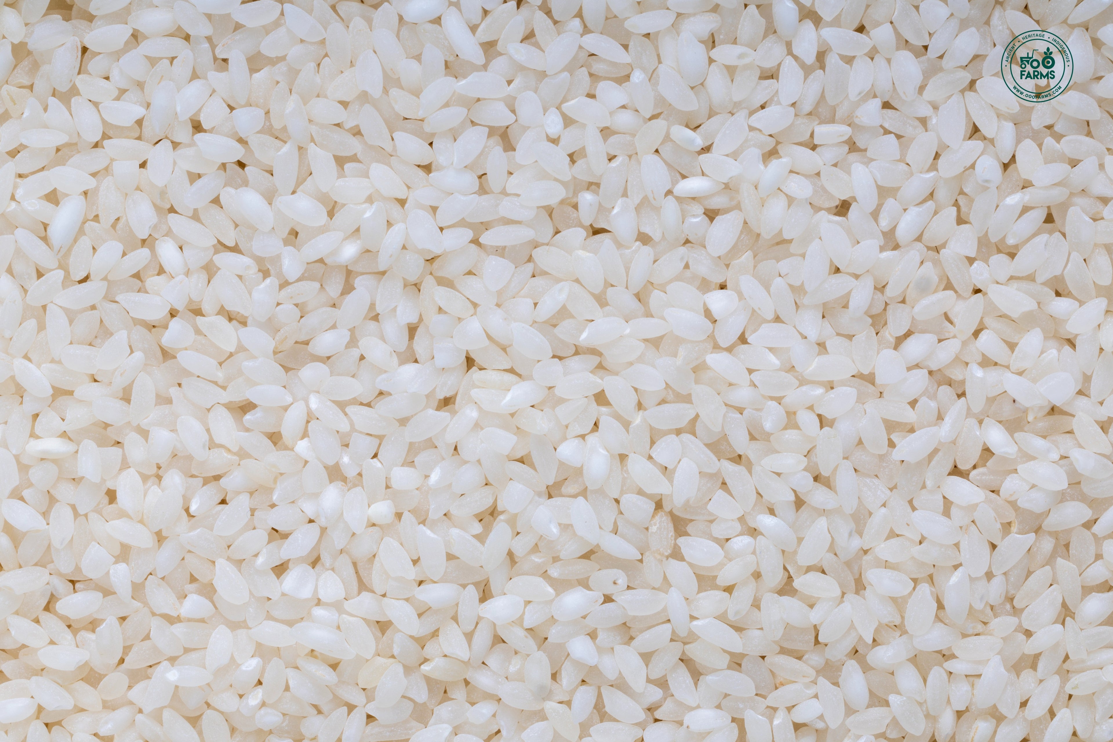 OOO Farms Black Jack Rice (Semipolished)