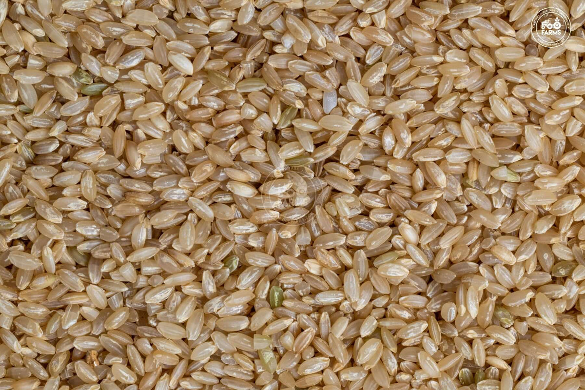 OOO Farms Black Jack Rice (Unpolished)