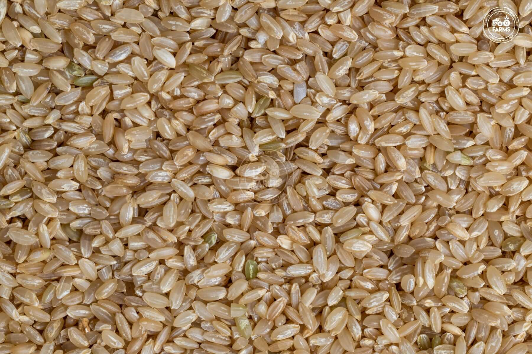 OOO Farms Black Jack Rice (Unpolished)