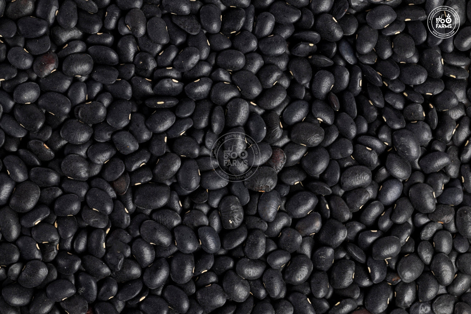 OOO Farms Whole Black Horsegram OOO Farms Whole Black Horsegram
