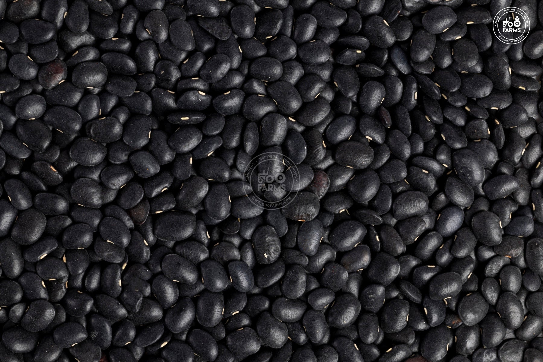 OOO Farms Whole Black Horsegram
