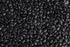 OOO Farms Whole Black Horsegram OOO Farms Whole Black Horsegram