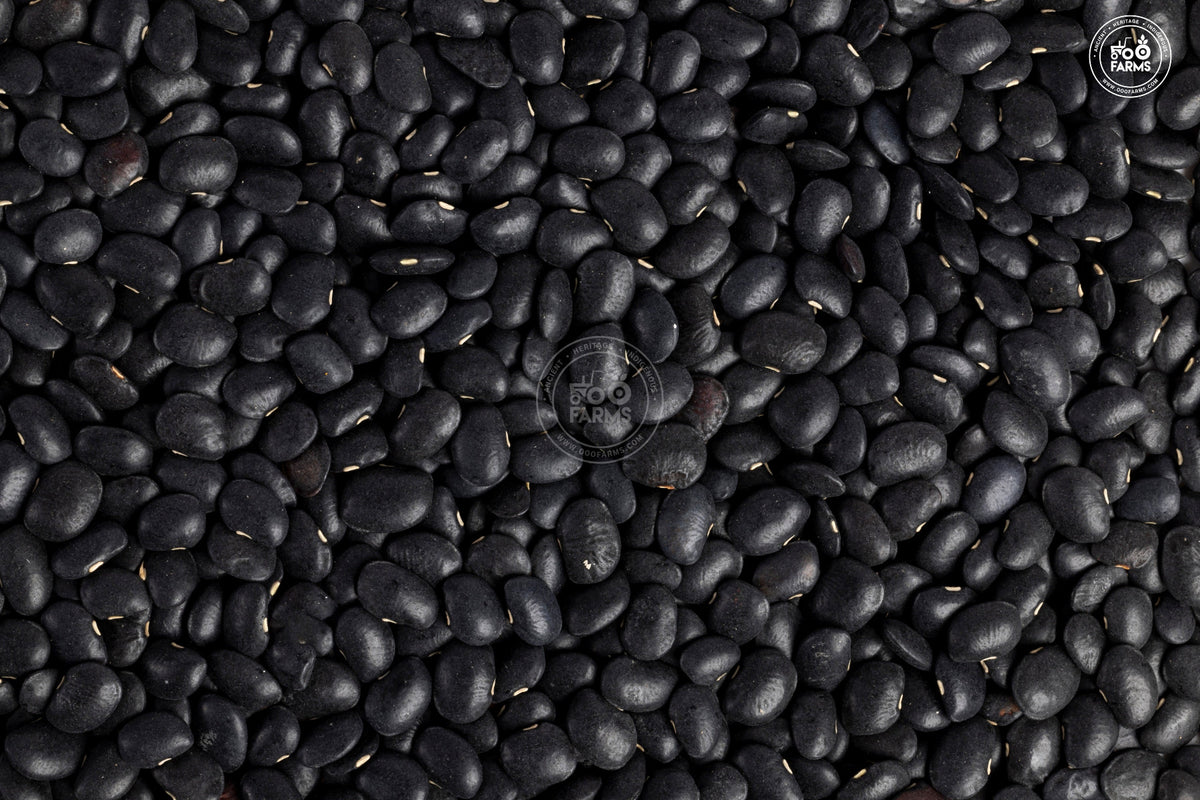 OOO Farms Whole Black Horsegram