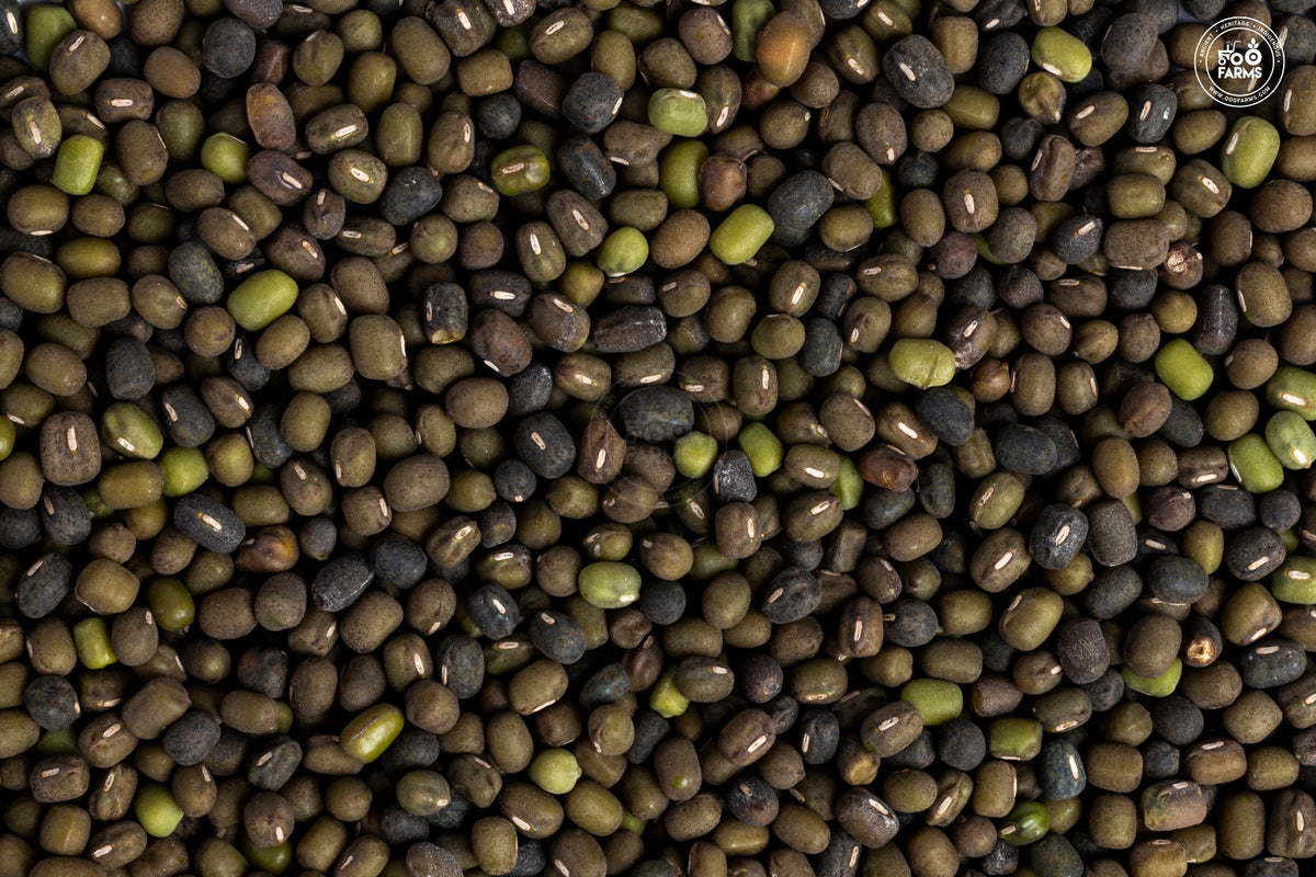 OOO Farms Whole Dongar Black Moong