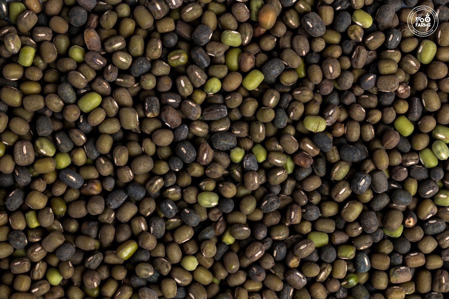 OOO Farms Whole Dongar Black Moong