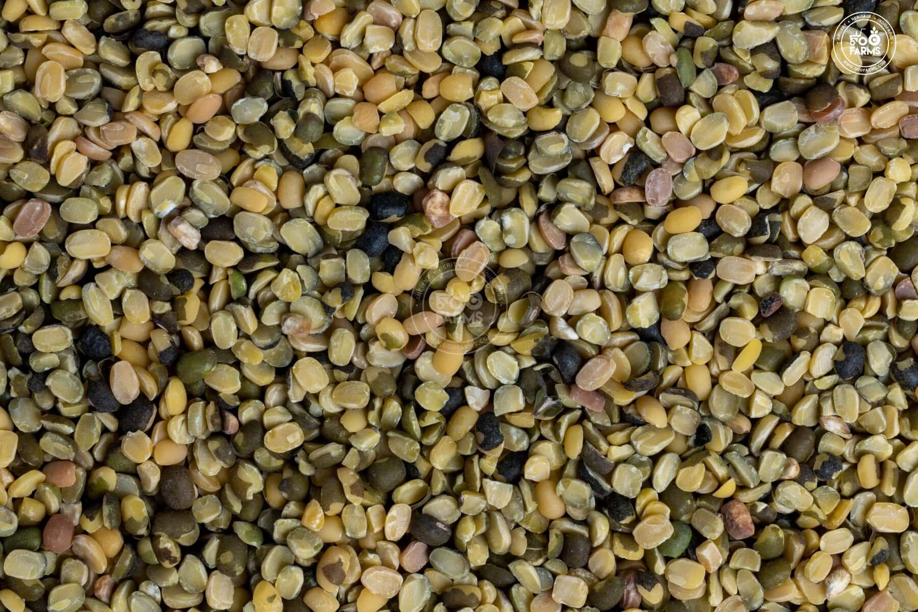 OOO Farms Split Dongar Black Moong