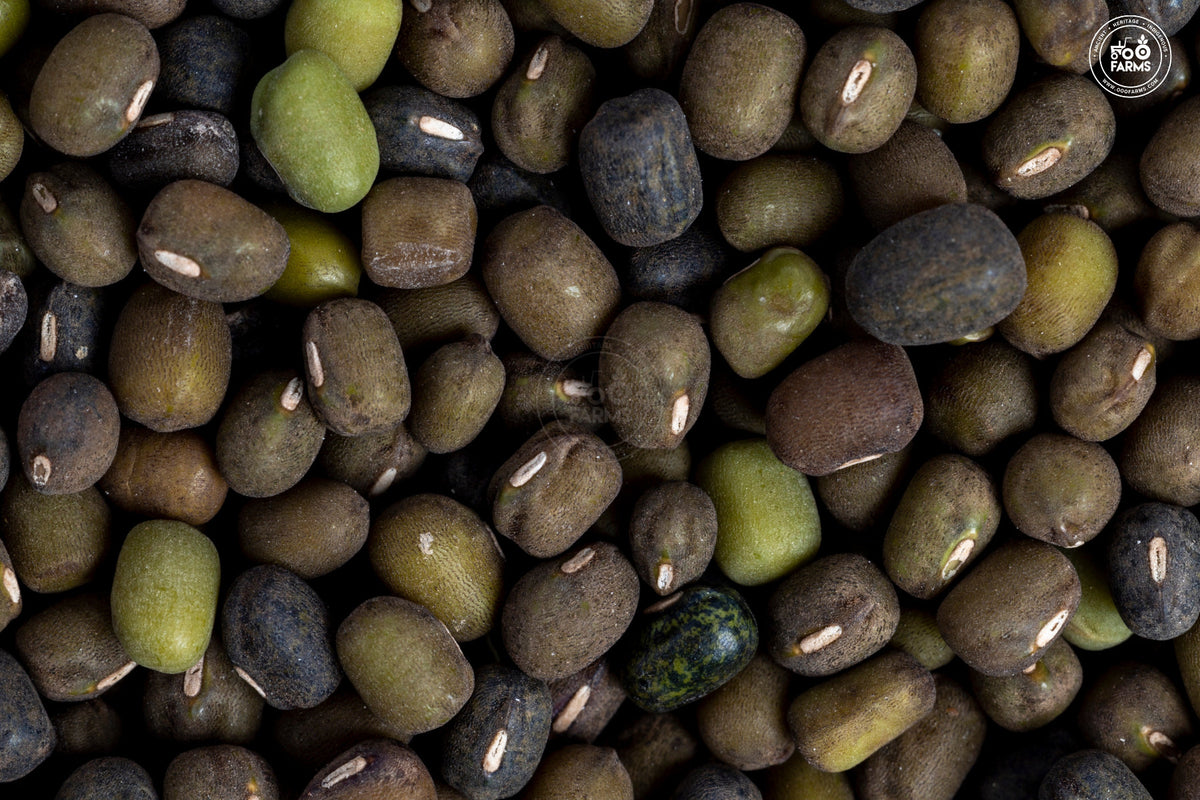 OOO Farms Whole Dongar Black Moong