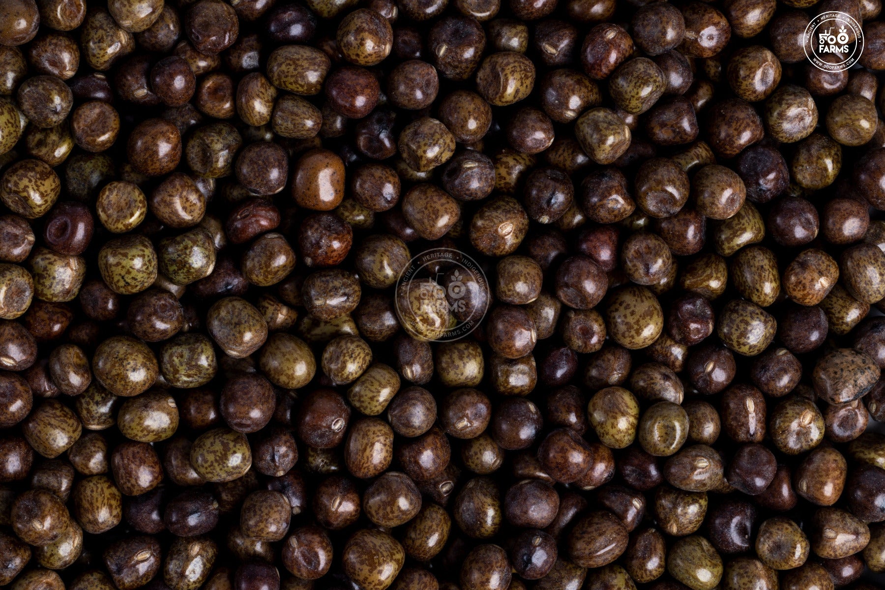 OOO Farms Whole Black Peas