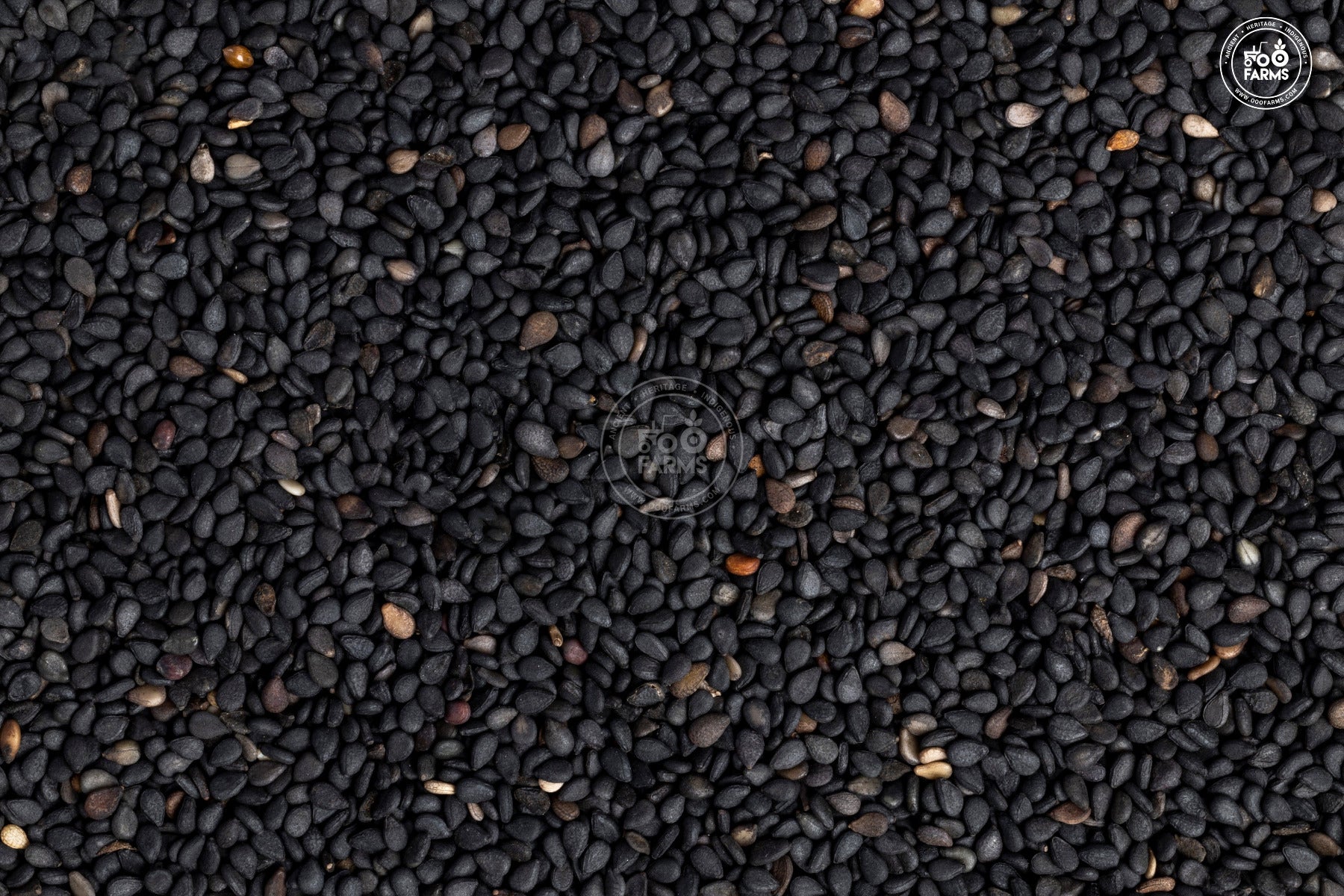 OOO Farms Black Sesame Seed