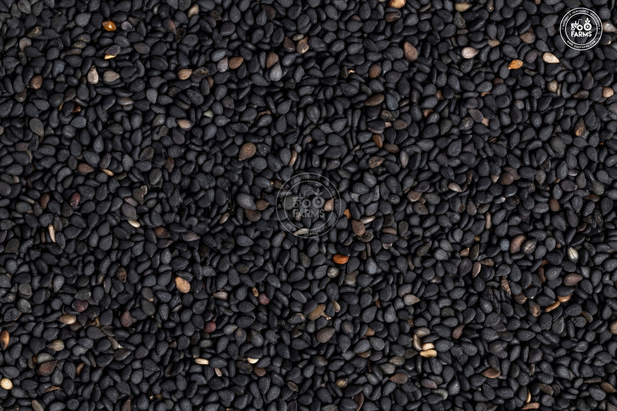 OOO Farms Black Sesame Seed