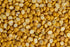 OOO Farms Brown Chana Dal  OOO Farms Brown Chana Dal