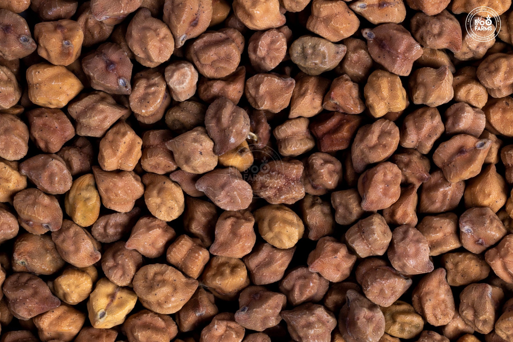OOO Farms Whole Bengal Gram