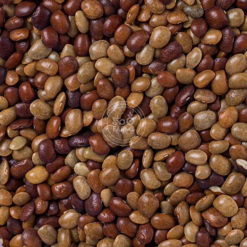 OOO Farms Whole Brown Horsegram