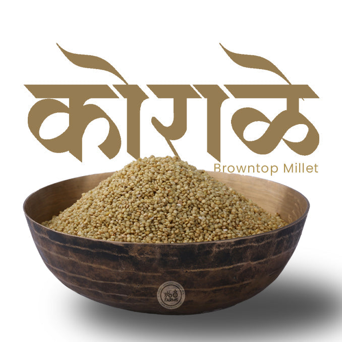 OOO Farms Whole Browntop Millet in a Bowl