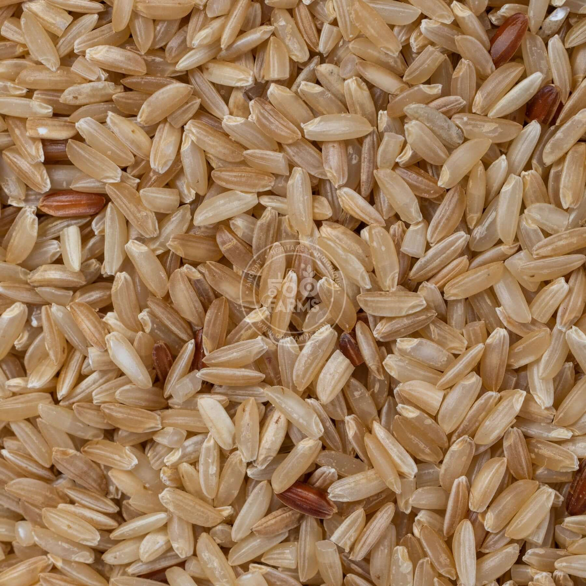 OOO Farms Chimansaal Rice (Unpolished)