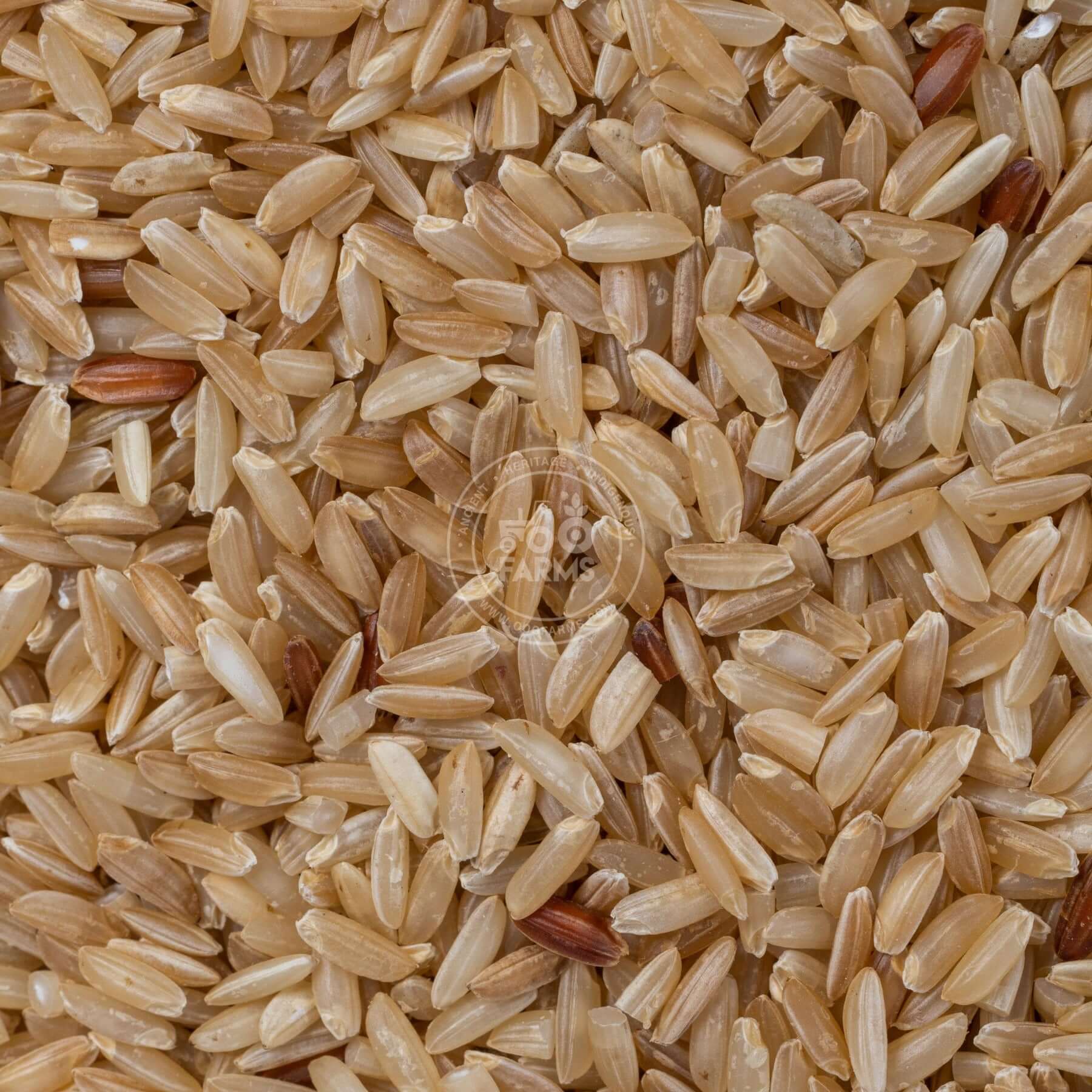 OOO Farms Chimansaal Rice (Unpolished)