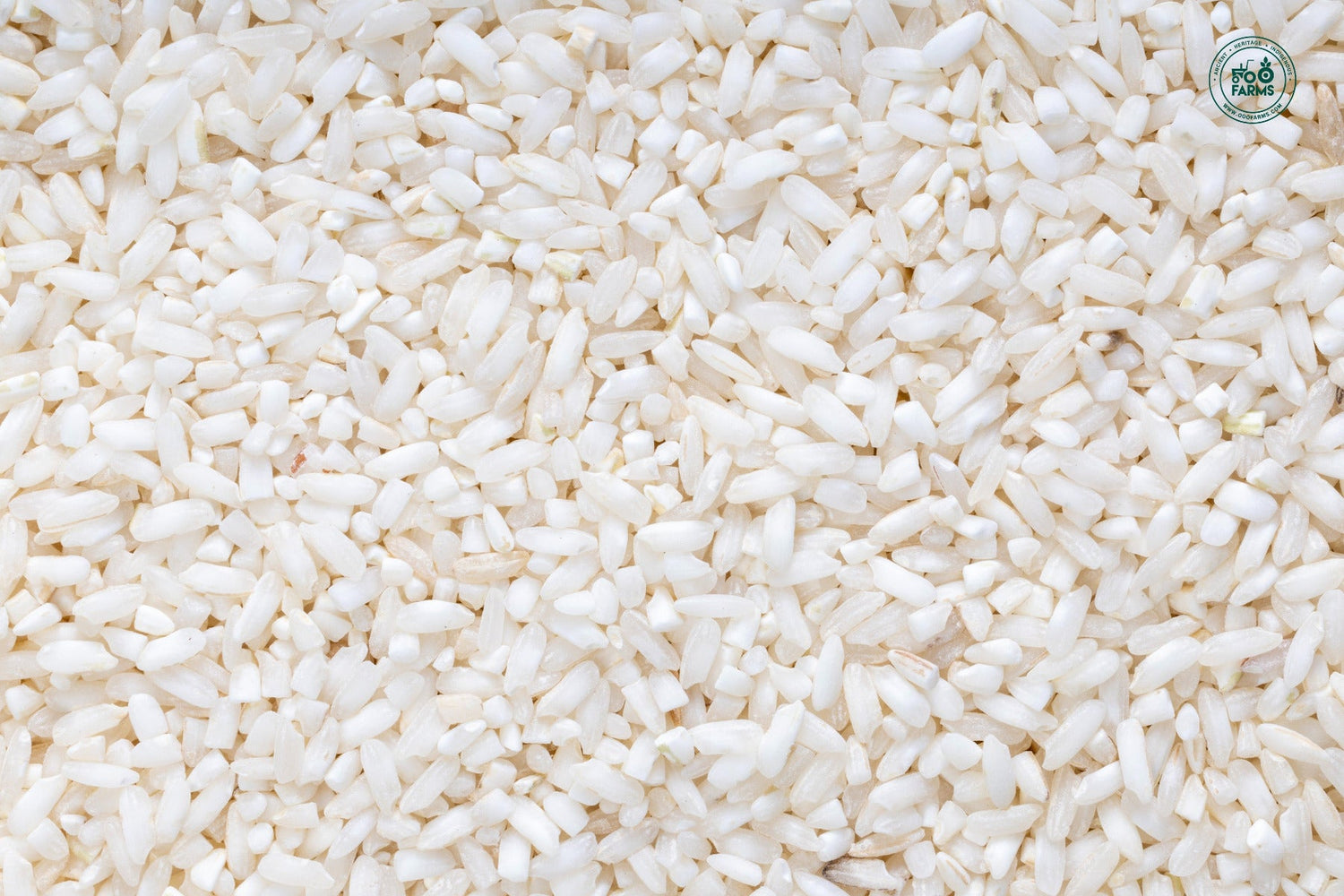 OOO Farms Dongri Rice (Semipolished)  OOO Farms Dongri Rice (Semipolished)