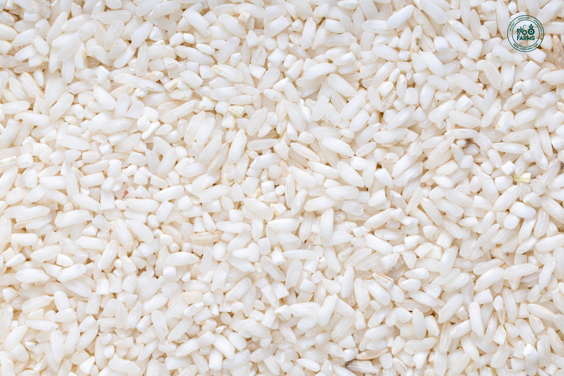 OOO Farms Dongri Rice (Semipolished)