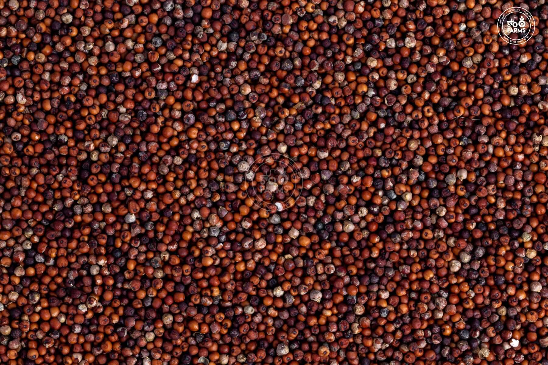 OOO Farms Finger Millet