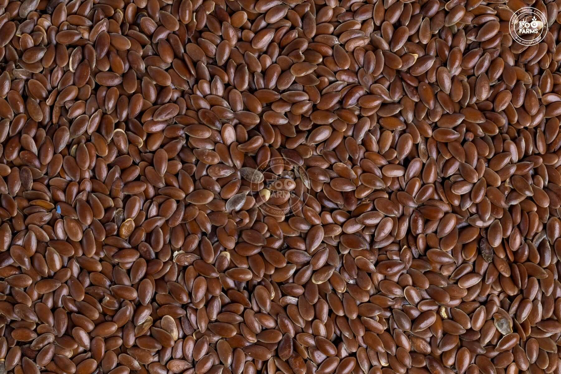 Flax Seed