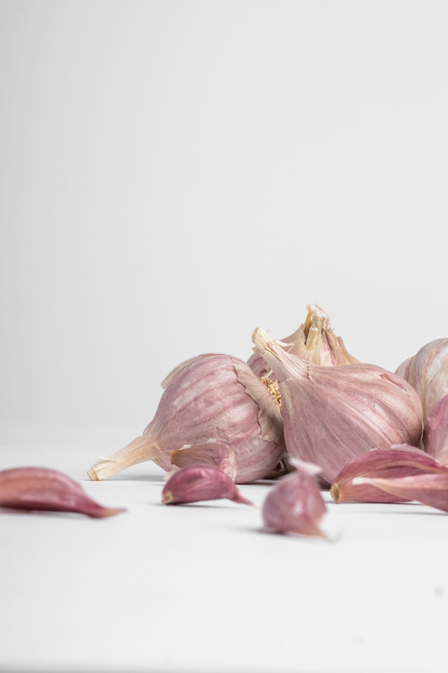 Native Pink Garlic Native Pink Garlic