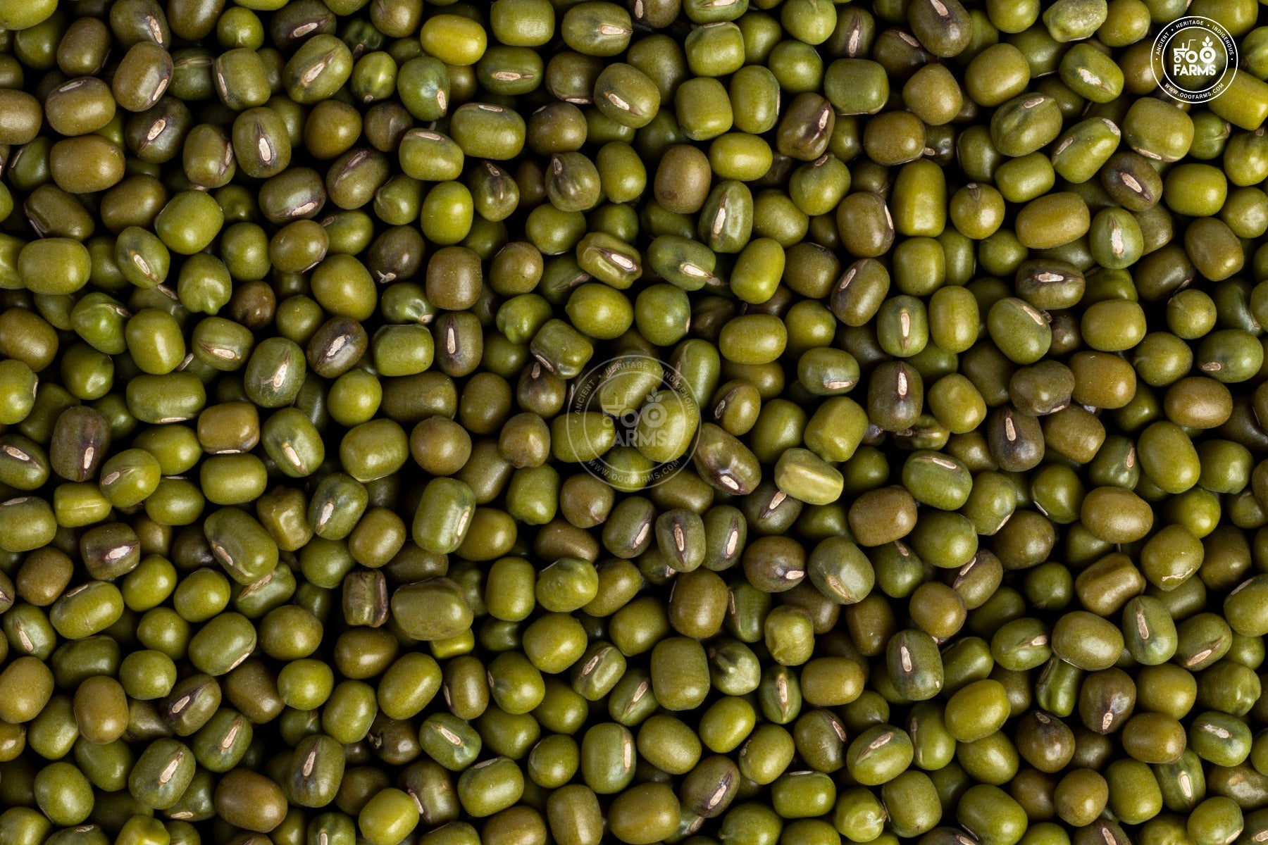 OOO Farms Whole Green Moong